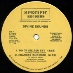 画像2: Divine Sounds - Changes/Do Or Die Bed Sty　12"