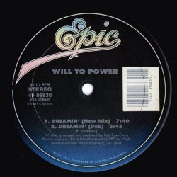 画像2: Will To Power - Dreamin'  12"