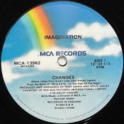 画像1: Imagination - Changes  12"