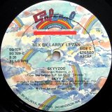 Skyy - Skyyzoo/High  12"