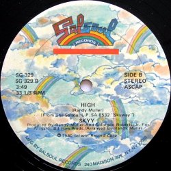 画像2: Skyy - Skyyzoo/High  12"