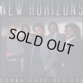 New Horizons - Gonna Have Big Fun  LP 