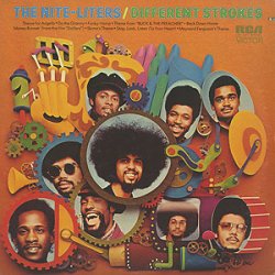 画像1: The Nite-Liters - Different Strokes  LP 