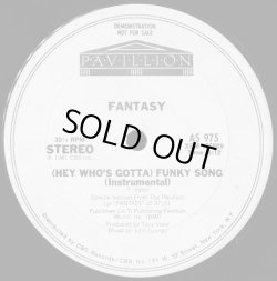 画像2: Fantasy - (Hey Who's Gotta) Funky Song  12"