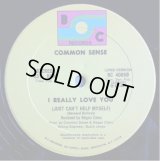 Common Sense - I Really Love You (Just Can't Help Myself)  12"  