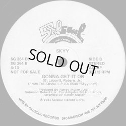 画像2: Skyy - Let's Celebrate/Gonna Get It On  12"