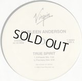 Carleen Anderson - True Spirit  12"