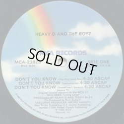 画像1: Heavy D And The Boyz - Don't You Know/Moneyearnin' Mount Vernon  12"