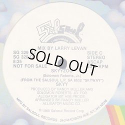 画像2: Skyy - Skyyzoo (Album/Larry Levan) 12"