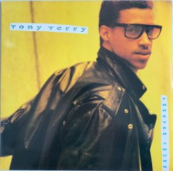 画像1: Tony Terry - Forever Yours  LP