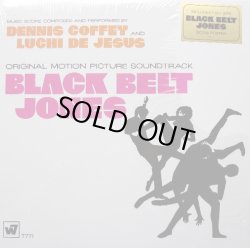 画像1: Dennis Coffey And Luchi De Jesus - Black Belt Jones (Original Motion Picture Soundtrack)  LP