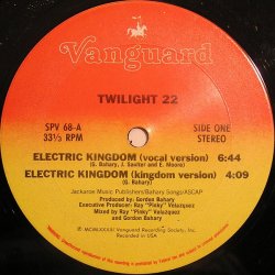 画像1: Twilight 22 - Electric Kingdom (4Vers)  12"