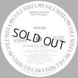 Waldo - You Bring Out The Freak In Me  12"