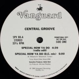 Central Groove - Special How Ya Do  12"