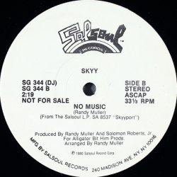 画像2: Skyy - Superlove/No Music  12"