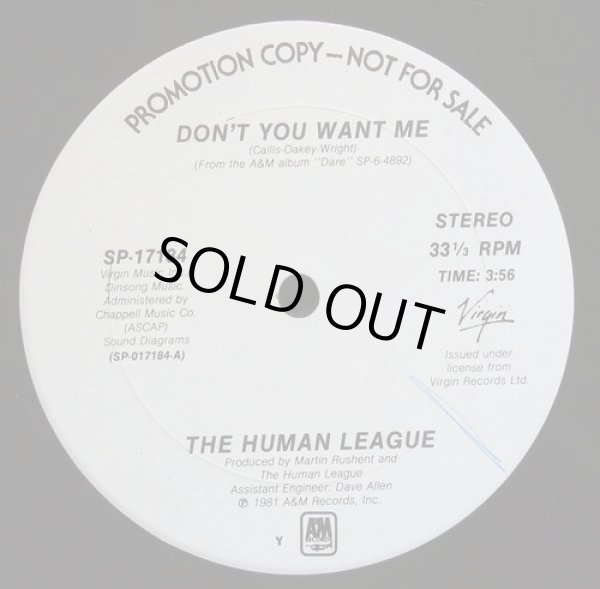 画像1: The Human League - Don't You Want Me  12"