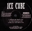 画像2: Ice Cube/Snoop Doggy Dogg - Greastest Hits DJ Sampler  2LP