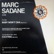 画像1: Marc Sadane/Miss Piggy - Baby Won't Cha/Stereau Warmup/Exercise Your Rights  12"