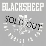 画像: Black Sheep‎ - The Choice Is Yours/Have U.N.E. Pull (Remix)/Yes  12" 