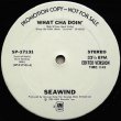 画像1: Seawind - What Cha Doin'  12"