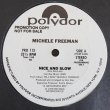 画像1: Michele Freeman - Nice And Slow/Try My Loving  12" 