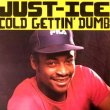 画像1: Just Ice - Cold Gettin' Dumb  12"