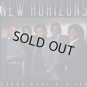 画像: New Horizons - Gonna Have Big Fun  LP 