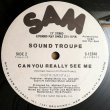 画像2: Sound Troupe - Can You Really See Me  12"