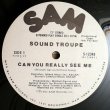 画像1: Sound Troupe - Can You Really See Me  12"