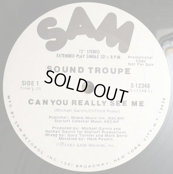 画像1: Sound Troupe - Can You Really See Me  12"