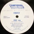 画像1: Firefly - Stay  12"