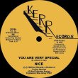 画像1: Nice - You Are Very Special  12" 