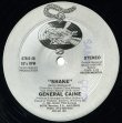 画像2: General Caine - Shake  12" 