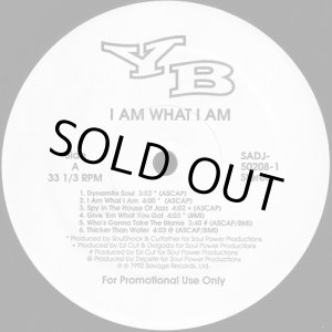 画像: YB - I Am What I Am  LP