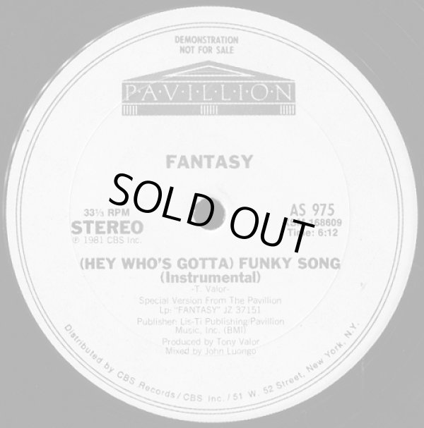 画像2: Fantasy - (Hey Who's Gotta) Funky Song  12"