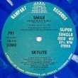 画像2: Skylite - Boogie Butt/Smile  12" 