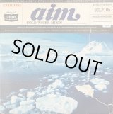 画像: Aim - Cold Water Music  2LP