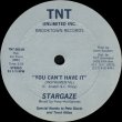 画像2: Stargaze - You Can't Have It  12" 