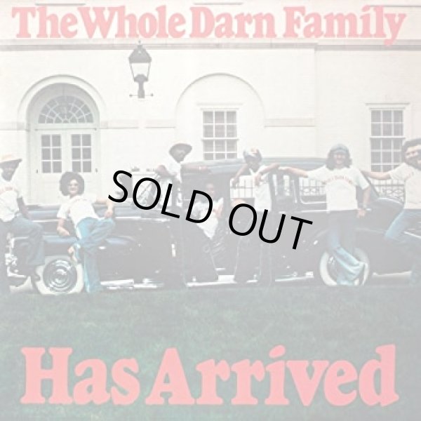 画像1: The Whole Darn Family - Has Arrived  LP