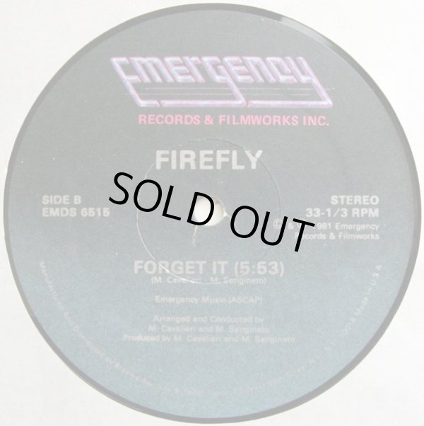 画像2: Firefly - Love (Is Gonna Be On Your Side)/Forget It  12"