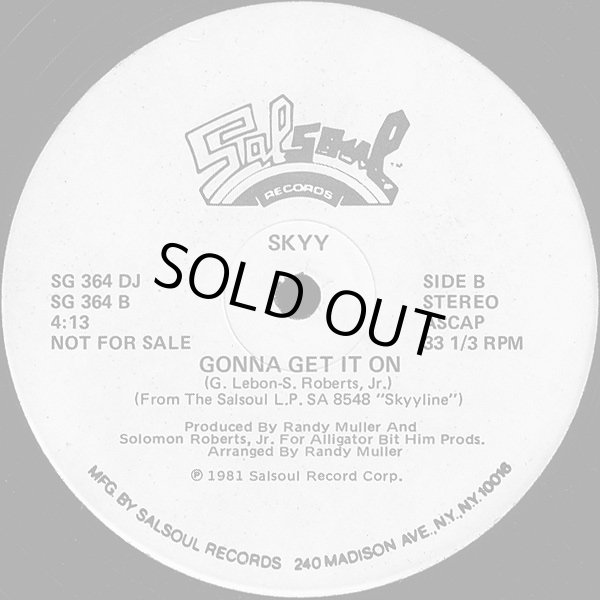 画像2: Skyy - Let's Celebrate/Gonna Get It On  12"