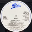 画像3: Luther Vandross - I Gave It Up/She's A Super Lady/Luther In Love Megamix 12"