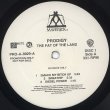 画像1: Prodigy - The Fat Of The Land  2LP