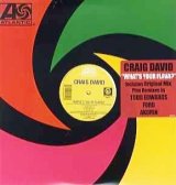 画像: Craig David - What's Your Flava ? 12"X2