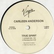 画像1: Carleen Anderson - True Spirit  12"