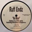 画像1: Ruff Endz - No More (7406 Remixes)