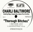 画像2: Charli Baltimore - Feel It/Thorough Bitches  12"