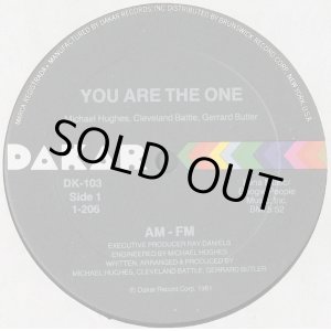 画像: AM-FM  -  You Are The One  12"