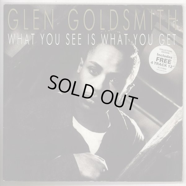 画像1: Glen Goldsmith - What You See Is What You Get  LP+12"