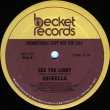 画像2: Quinella - Your Place Or Mine/See The Light  12"